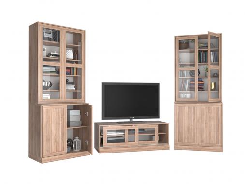 عکس تی وی روم مینیمال کتابخانه دار TW527