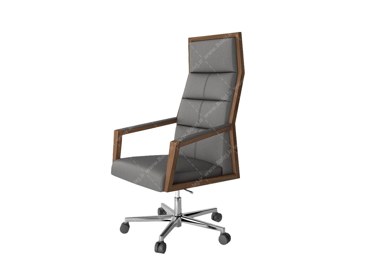 عکس صندلی مدیریت طبی پشت بلند SQ