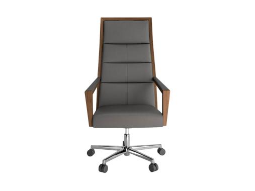 عکس صندلی مدیریت طبی پشت بلند SQ