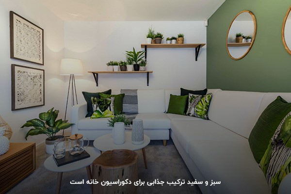 استفاده از رنگ‌های سبز و سفید در ترکیب دکوراسیون خانه
