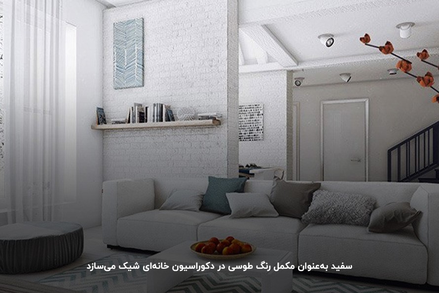 7 مکمل رنگ طوسی در دکوراسیون که دکور شگفت انگیزی می‌سازند