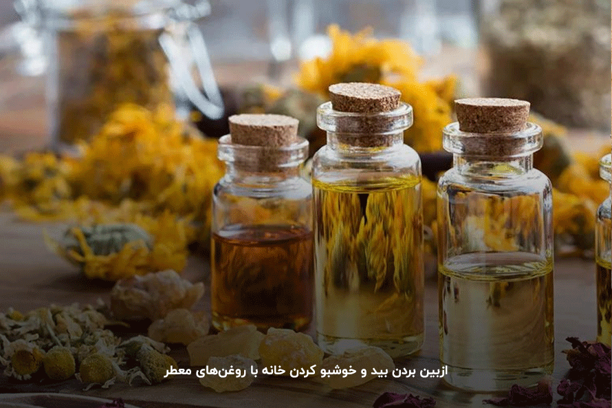 روغن معطر؛ برای از بین بردن بید در خانه