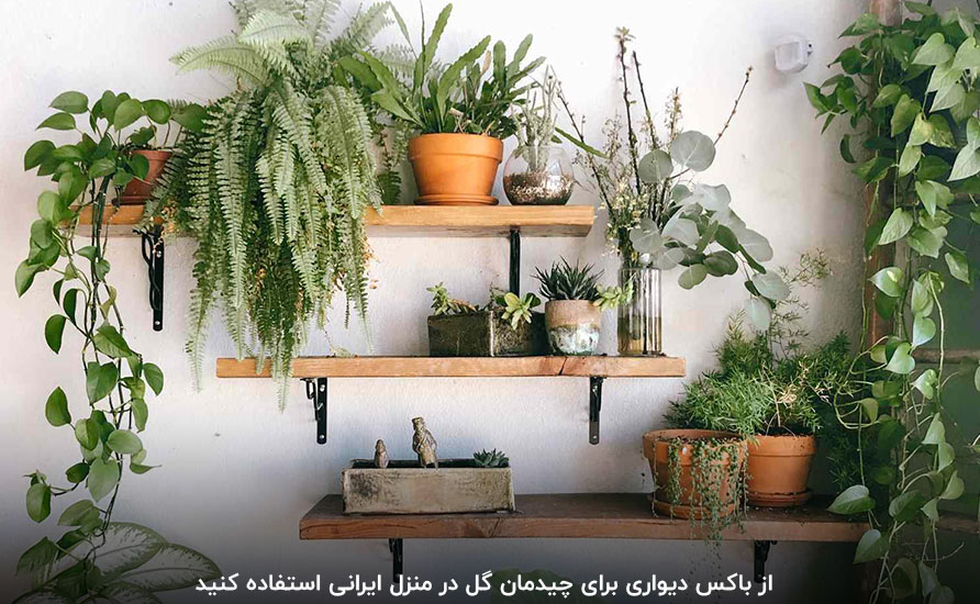 استفاده از شلف دیواری چوبی و فلزی برای چیدمان گل در منزل ایرانی